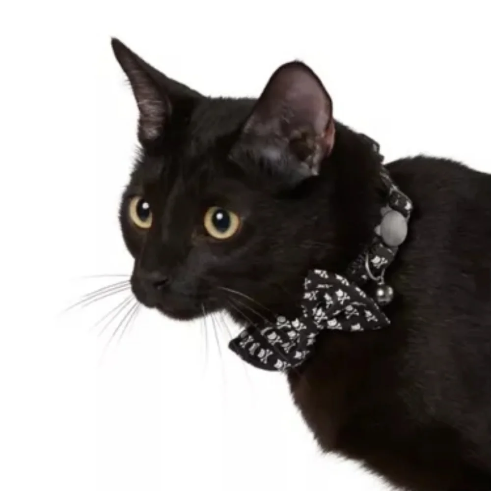 Whisker City NWT Exclusive Crossbones Bow Tie Easy Release Adult Cat Collar
